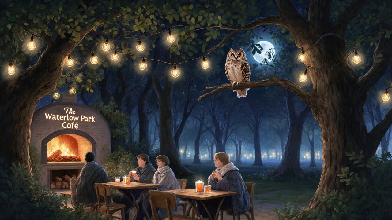 Cozy outdoor pub in Waterlow Park with fairy lights, patrons in blankets, and an owl in the trees at midnight.