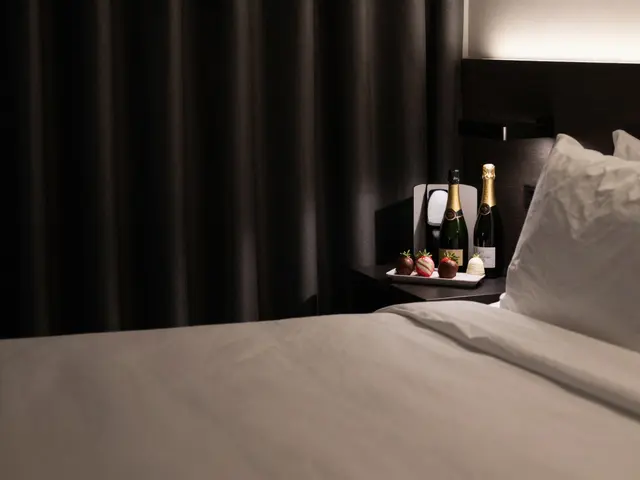 Berlin's Best Escort-Friendly Hotels for a Discreet Encounter